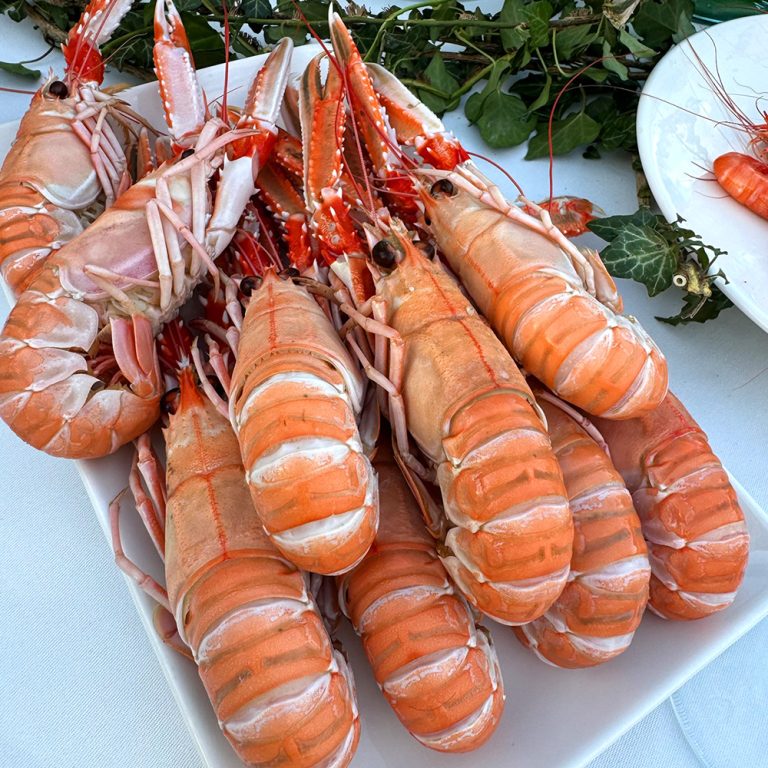 Spanish catering shellfish